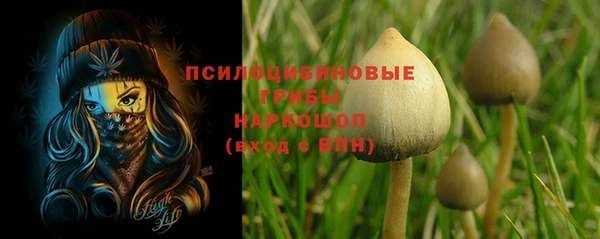 гашик Аркадак