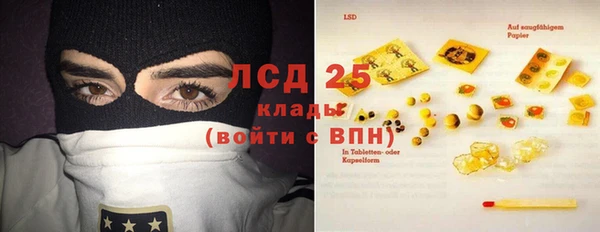 гашик Аркадак