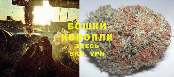 гашик Аркадак