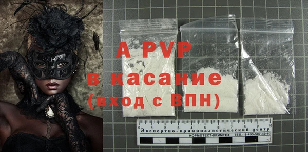 стафф Арсеньев