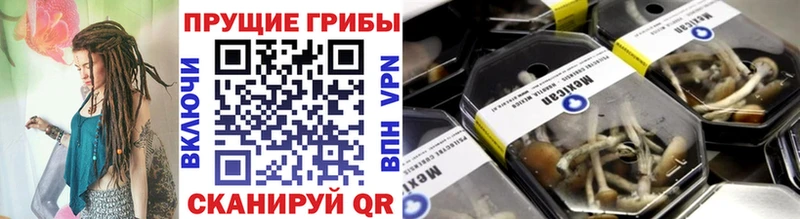 мориарти официальный сайт  как найти   Волгодонск  Псилоцибиновые грибы Cubensis 